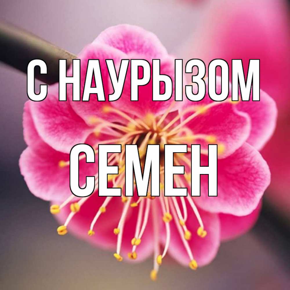 Открытка на каждый день с именем, Семен С наурызом цветы Прикольная открытка с пожеланием онлайн скачать бесплатно 