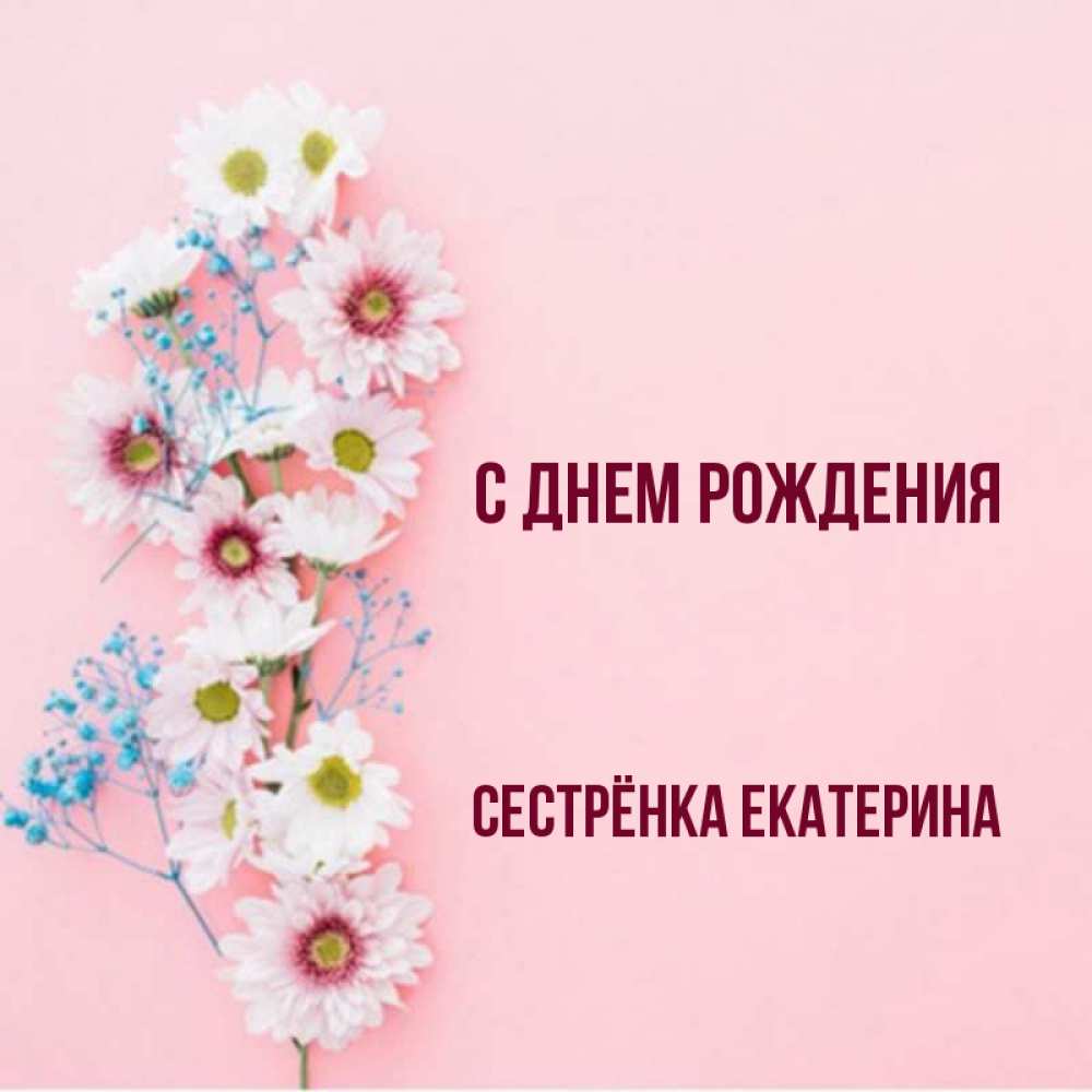 Открытка на каждый день с именем, Сестрёнка-Екатерина С днем рождения Родная моя с днем рождения тебя картинка с цветами белыми и голубыми Прикольная открытка с пожеланием онлайн скачать бесплатно 