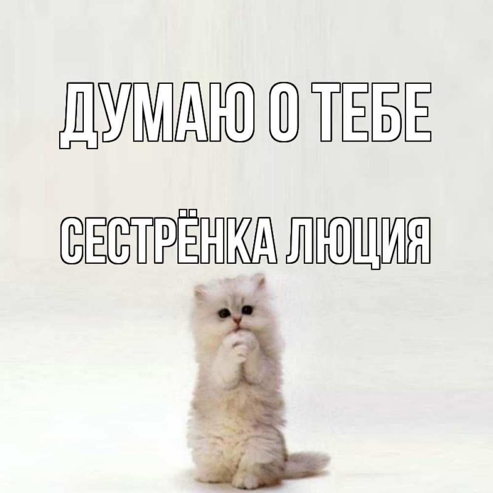 Открытка на каждый день с именем, Сестрёнка-Люция Думаю о тебе кот стоит на задних лапах Прикольная открытка с пожеланием онлайн скачать бесплатно 