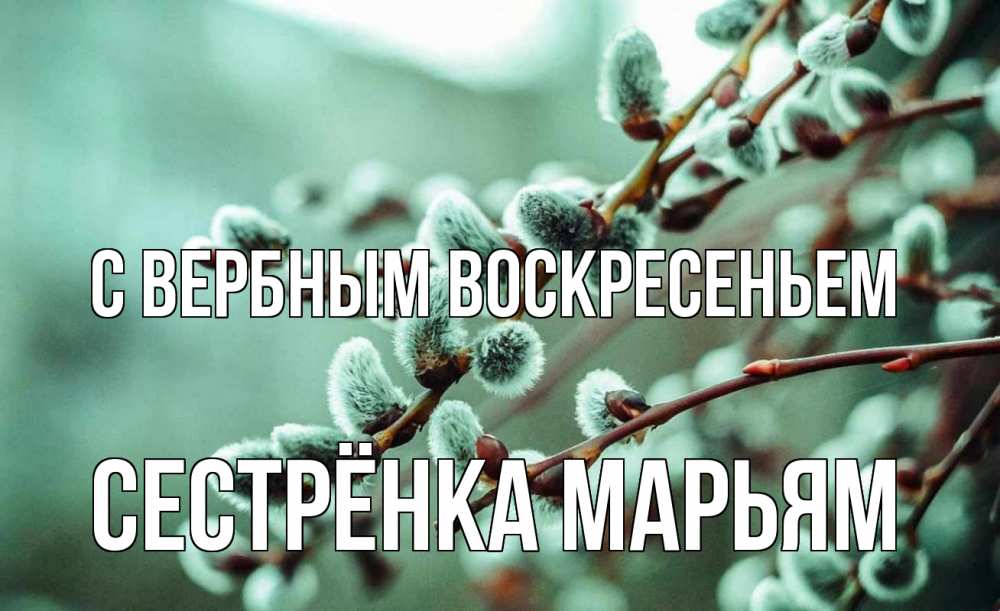 Открытка на каждый день с именем, Сестрёнка-Марьям С вербным воскресеньем верба Прикольная открытка с пожеланием онлайн скачать бесплатно 