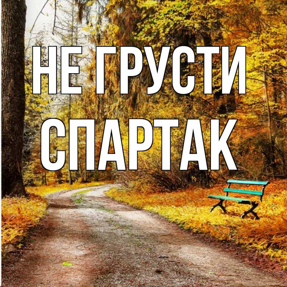 Открытка на каждый день с именем, Спартак Не грусти зеленая лавочка Прикольная открытка с пожеланием онлайн скачать бесплатно 