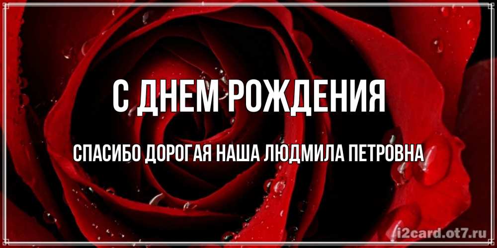 Открытка на каждый день с именем, Спасибо-дорогая-наша-Людмила-Петровна С днем рождения крупная бордовая роза Прикольная открытка с пожеланием онлайн скачать бесплатно 