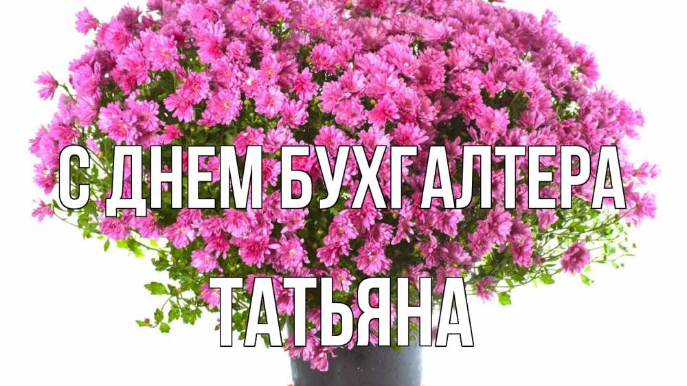 Открытка на каждый день с именем, Татьяна С днем бухгалтера с днем бухгалтера Прикольная открытка с пожеланием онлайн скачать бесплатно 