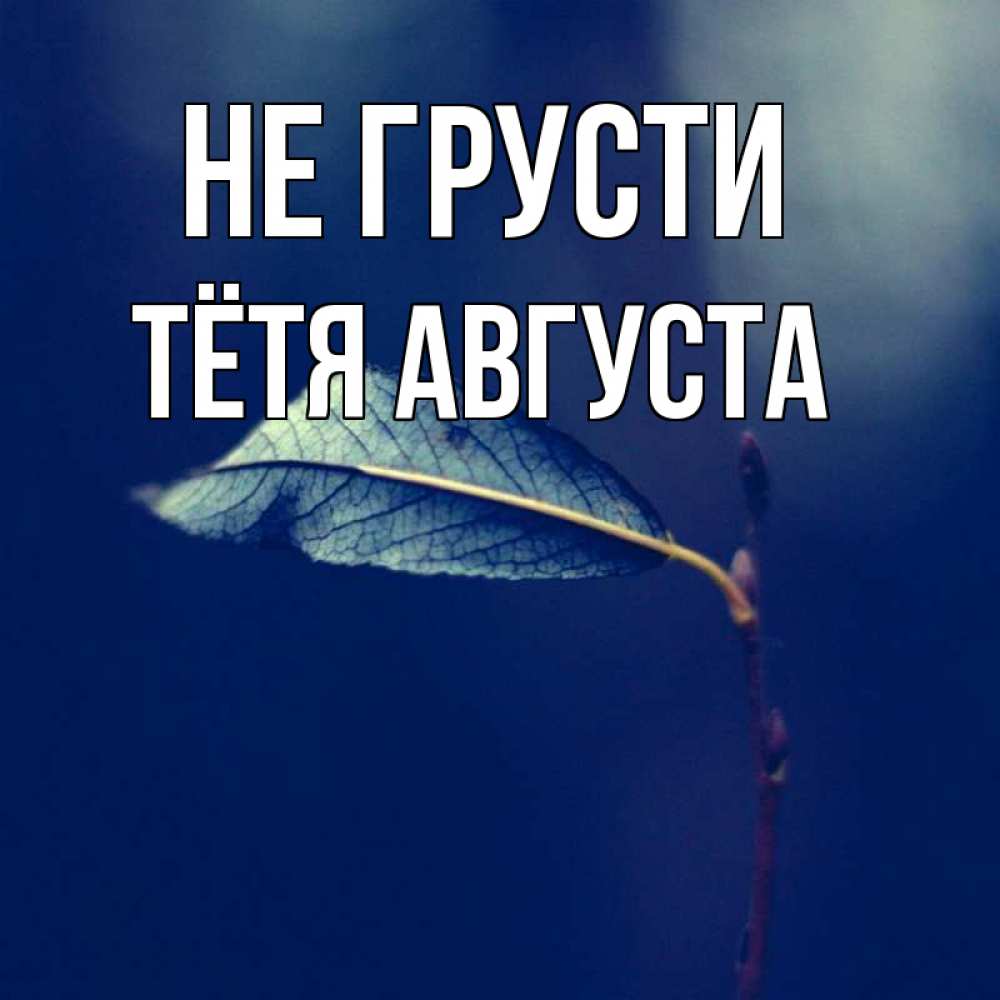 Открытка на каждый день с именем, Тётя-Августа Не грусти растение Прикольная открытка с пожеланием онлайн скачать бесплатно 