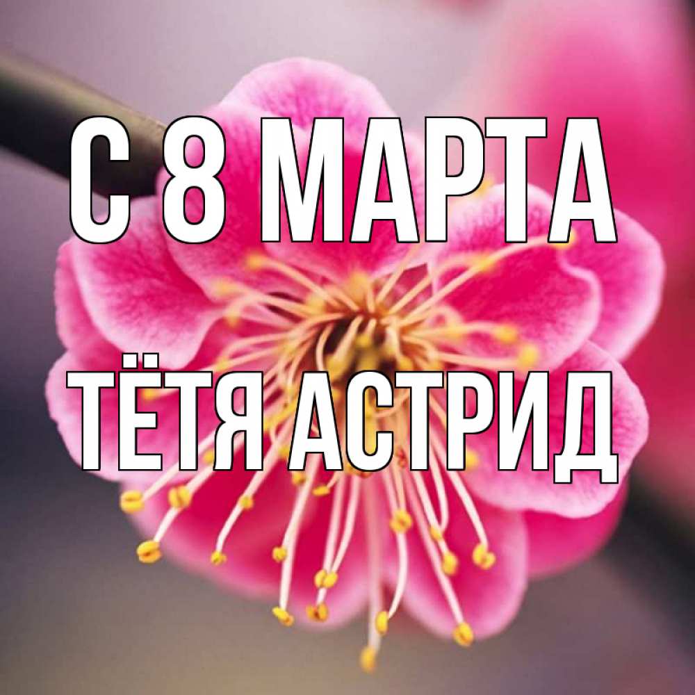 Открытка на каждый день с именем, Тётя-Астрид С 8 марта цветы Прикольная открытка с пожеланием онлайн скачать бесплатно 