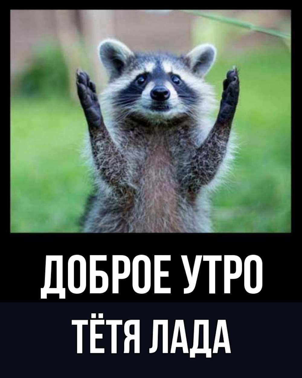 Открытка на каждый день с именем, Тётя-Лада Доброе утро хорошее настроение утречком Прикольная открытка с пожеланием онлайн скачать бесплатно 