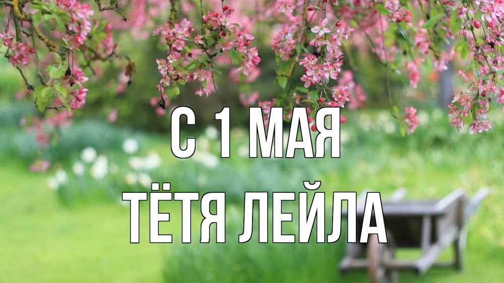 Открытка на каждый день с именем, Тётя-Лейла С 1 мая С 1 мая Прикольная открытка с пожеланием онлайн скачать бесплатно 