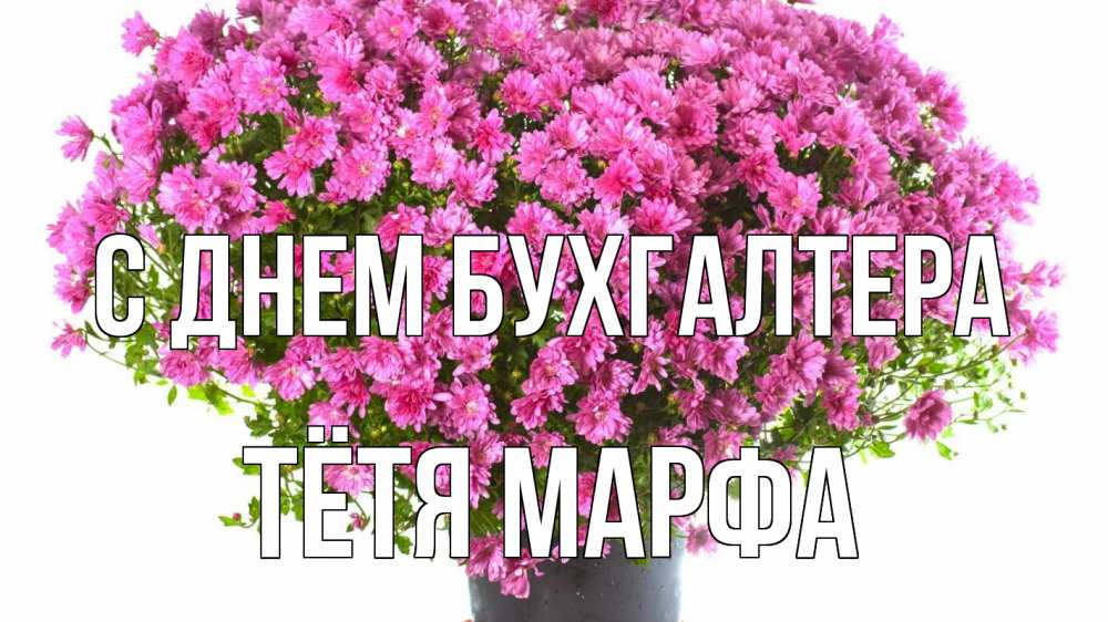 Открытка на каждый день с именем, Тётя-Марфа С днем бухгалтера с днем бухгалтера Прикольная открытка с пожеланием онлайн скачать бесплатно 