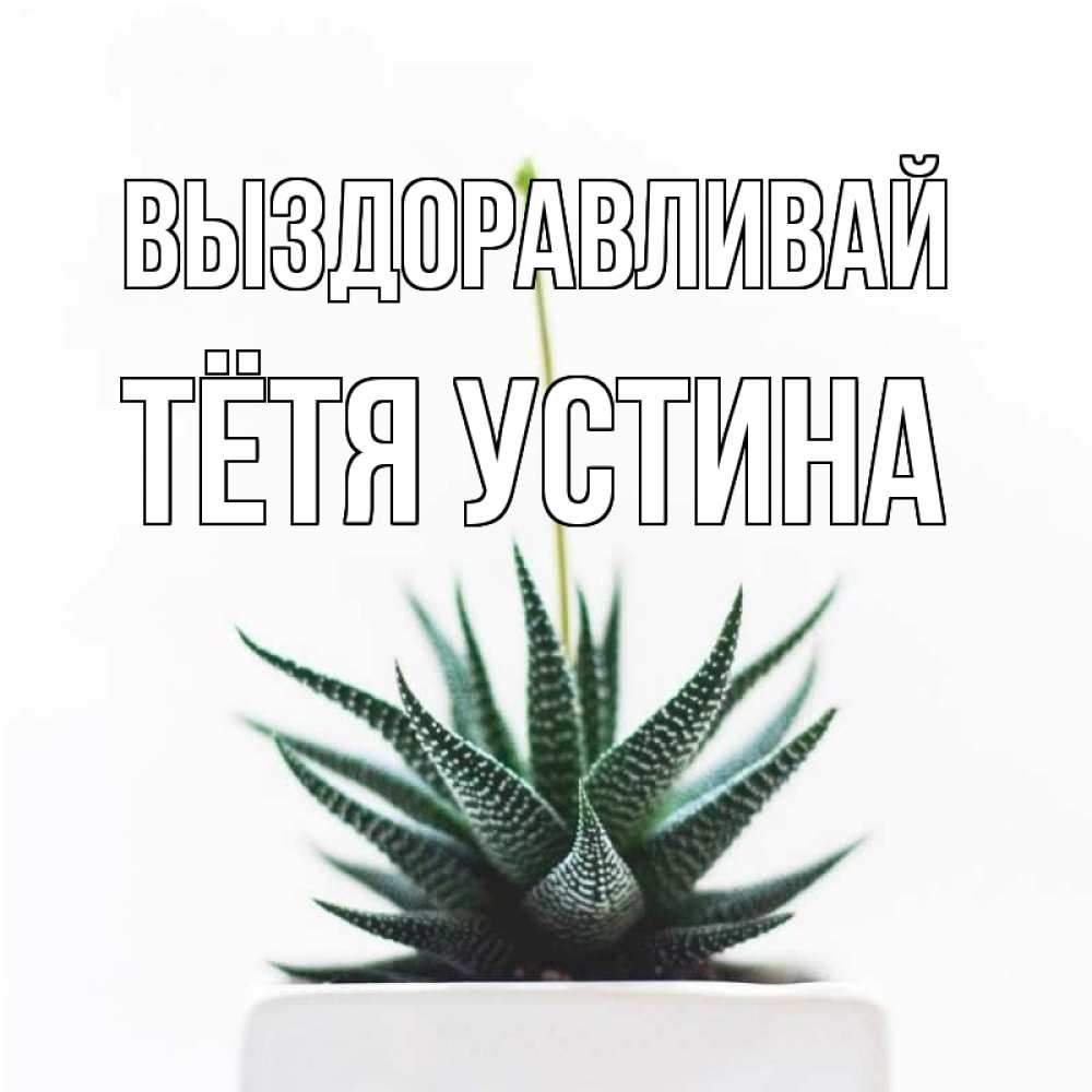 Открытка на каждый день с именем, Тётя-Устина Выздоравливай короче это непонятная колючка Прикольная открытка с пожеланием онлайн скачать бесплатно 