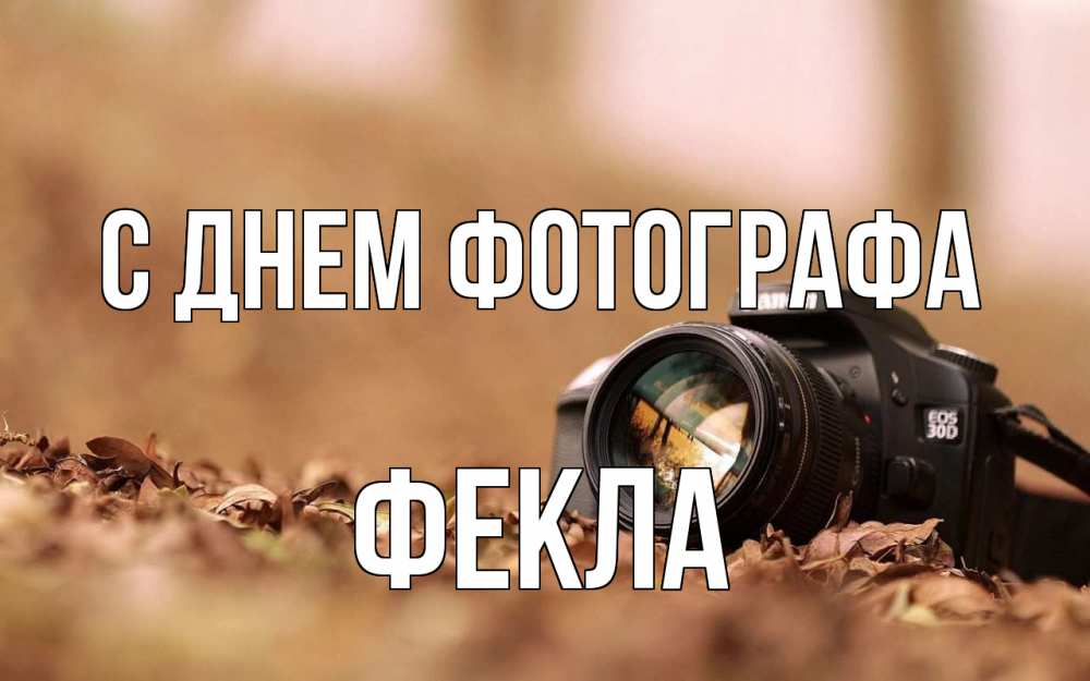 Открытка на каждый день с именем, Фекла С днем фотографа с днем фотографа Прикольная открытка с пожеланием онлайн скачать бесплатно 