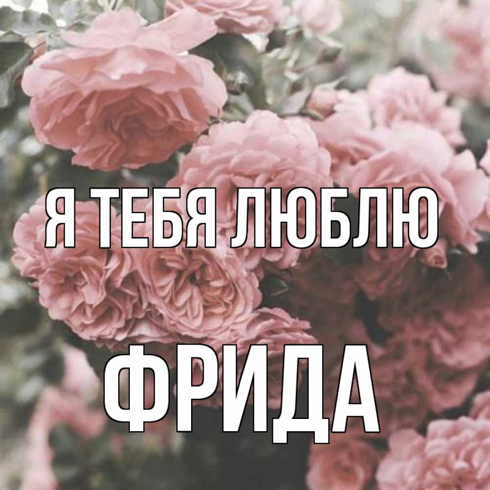 Открытка на каждый день с именем, Фрида Я тебя люблю розы 3 Прикольная открытка с пожеланием онлайн скачать бесплатно 