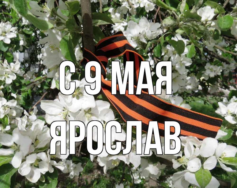 Открытка на каждый день с именем, Ярослав С 9 мая 9 мая Прикольная открытка с пожеланием онлайн скачать бесплатно 