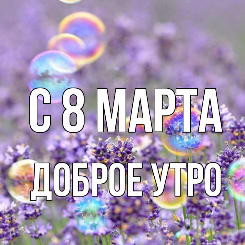 Открытка на каждый день с именем, доброе-утро С 8 марта цветы Прикольная открытка с пожеланием онлайн скачать бесплатно 