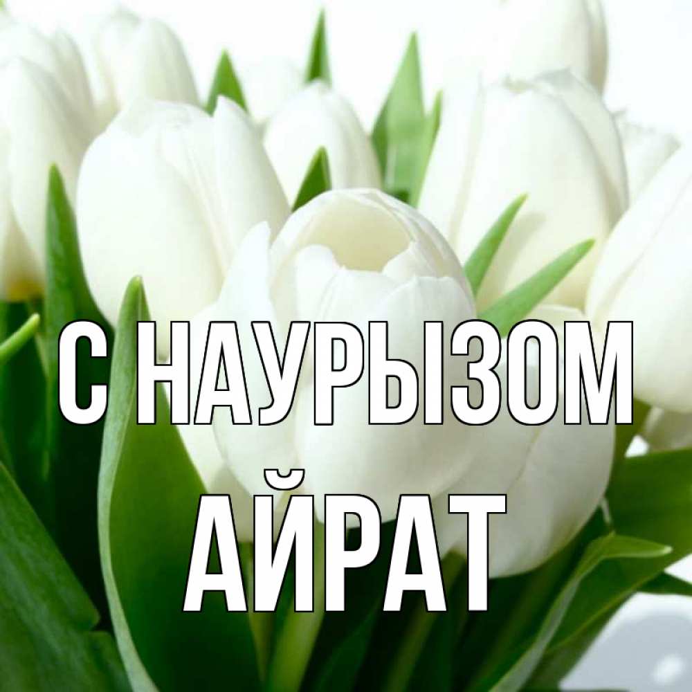 Открытка на каждый день с именем, Айрат С наурызом цветы Прикольная открытка с пожеланием онлайн скачать бесплатно 
