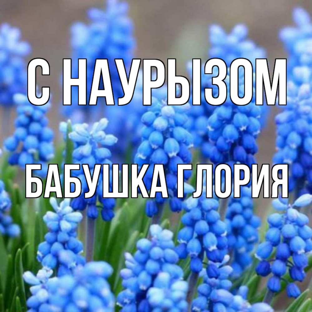Открытка на каждый день с именем, Бабушка-Глория С наурызом Поздравительная открытка для женщин с цветами на праздничную дату Прикольная открытка с пожеланием онлайн скачать бесплатно 