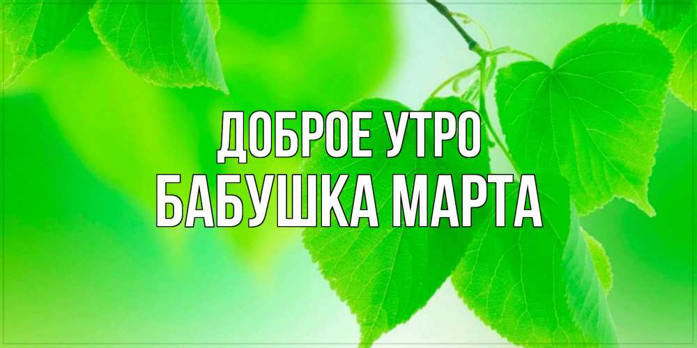 Открытка на каждый день с именем, Бабушка-Марта Доброе утро доброе утро с березовыми листьями Прикольная открытка с пожеланием онлайн скачать бесплатно 