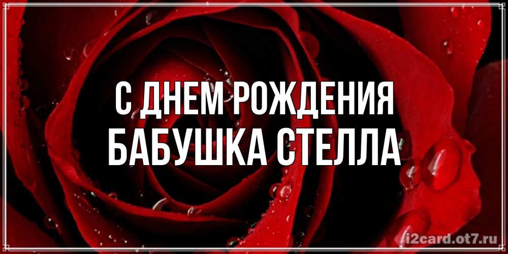 Открытка на каждый день с именем, Бабушка-Стелла С днем рождения крупная бордовая роза Прикольная открытка с пожеланием онлайн скачать бесплатно 