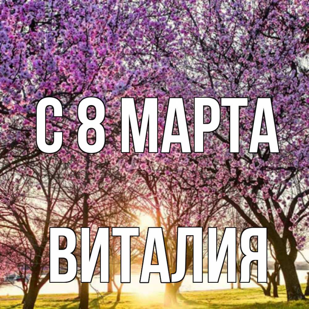Открытка на каждый день с именем, Виталия С 8 МАРТА международный женский день Прикольная открытка с пожеланием онлайн скачать бесплатно 