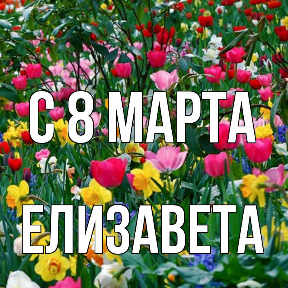 Открытка на каждый день с именем, Елизавета С 8 МАРТА с международным женским днем поздравления для женщины Прикольная открытка с пожеланием онлайн скачать бесплатно 