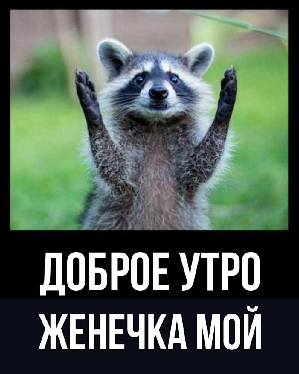 Открытка на каждый день с именем, Женечка-мой Доброе утро хорошее настроение утречком Прикольная открытка с пожеланием онлайн скачать бесплатно 