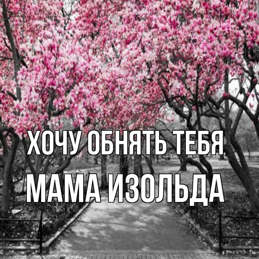 Открытка на каждый день с именем, Мама-Изольда Хочу обнять тебя обработанное фото Прикольная открытка с пожеланием онлайн скачать бесплатно 