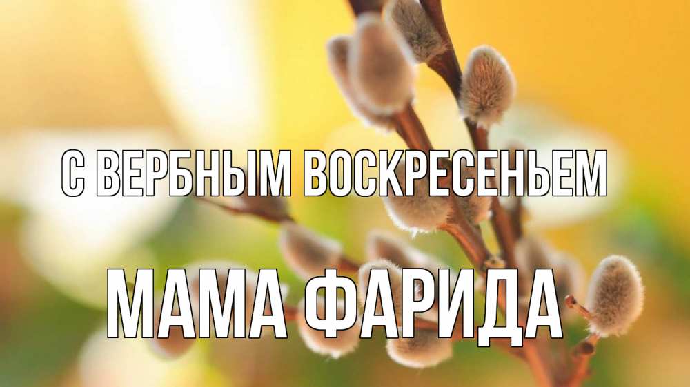Открытка на каждый день с именем, Мама-Фарида С вербным воскресеньем верба 1 Прикольная открытка с пожеланием онлайн скачать бесплатно 