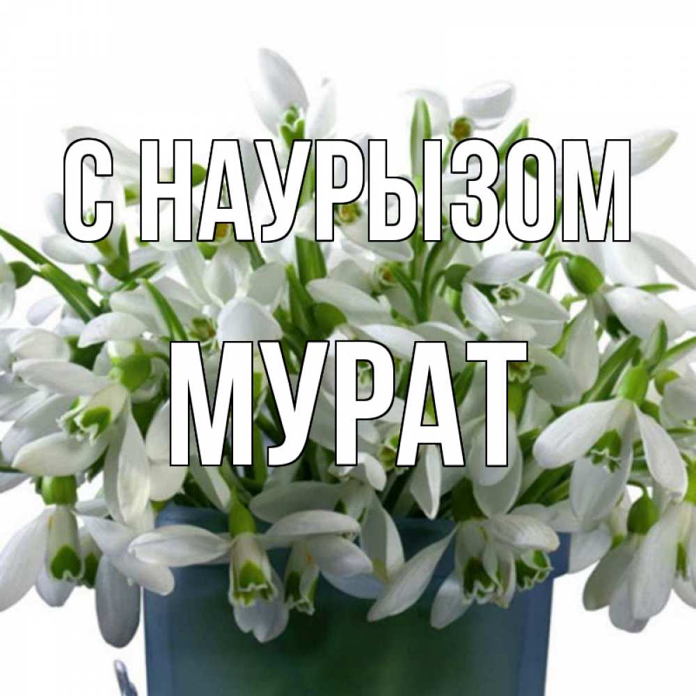 Открытка на каждый день с именем, Мурат С наурызом цветы к наурызу новый год в Казахстане Прикольная открытка с пожеланием онлайн скачать бесплатно 
