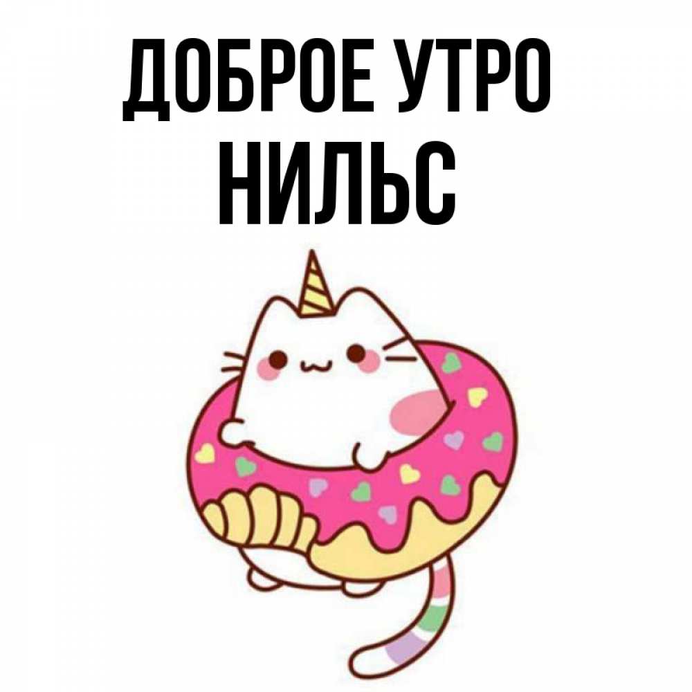 Открытка на каждый день с именем, Нильс Доброе утро кот в бублике Прикольная открытка с пожеланием онлайн скачать бесплатно 