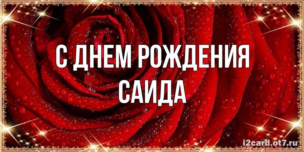 Открытка на каждый день с именем, Саида С днем рождения роса на розе блестящая в лучах солнца Прикольная открытка с пожеланием онлайн скачать бесплатно 