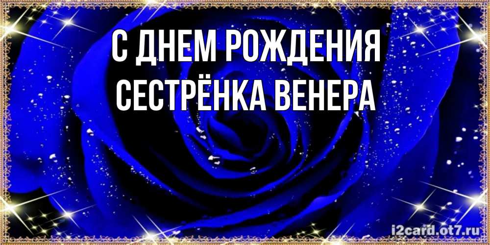 Открытка на каждый день с именем, Сестрёнка-Венера С днем рождения голубые цветы в росе Прикольная открытка с пожеланием онлайн скачать бесплатно 