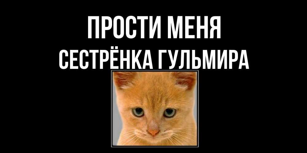 Открытка на каждый день с именем, Сестрёнка-Гульмира Прости меня рыжий грустный кот просит прощения Прикольная открытка с пожеланием онлайн скачать бесплатно 