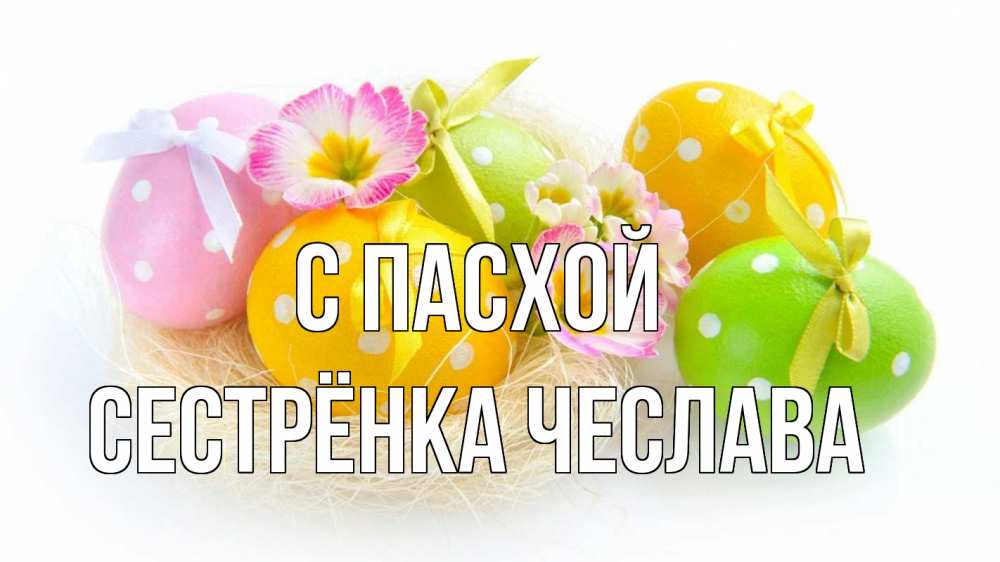 Открытка на каждый день с именем, Сестрёнка-Чеслава С пасхой пасха Прикольная открытка с пожеланием онлайн скачать бесплатно 