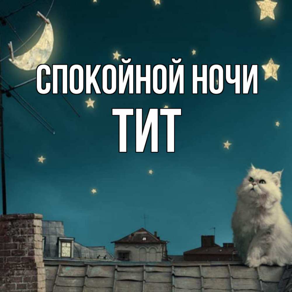 Открытка на каждый день с именем, Тит Спокойной ночи белый кот сидит на крыше Прикольная открытка с пожеланием онлайн скачать бесплатно 