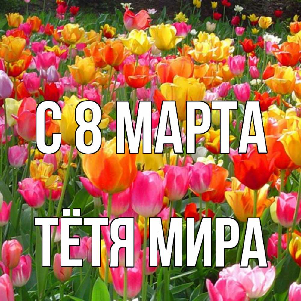 Открытка на каждый день с именем, Тётя-Мира С 8 МАРТА на международный женский день Прикольная открытка с пожеланием онлайн скачать бесплатно 