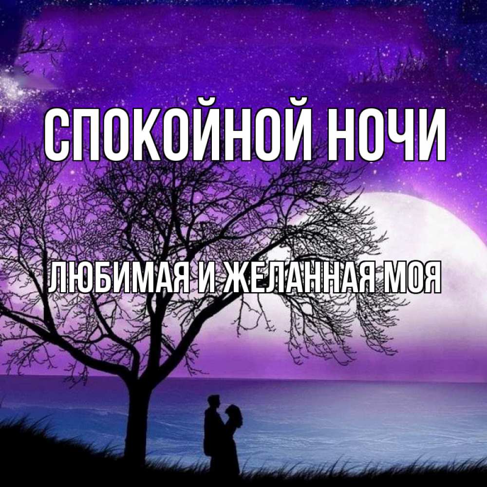 Открытка на каждый день с именем, любимая-и-желанная-моя Спокойной ночи огромная луна и парочка Прикольная открытка с пожеланием онлайн скачать бесплатно 