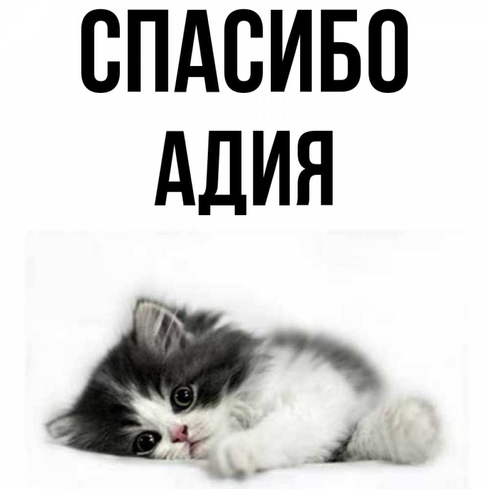 Картинки с именем амур