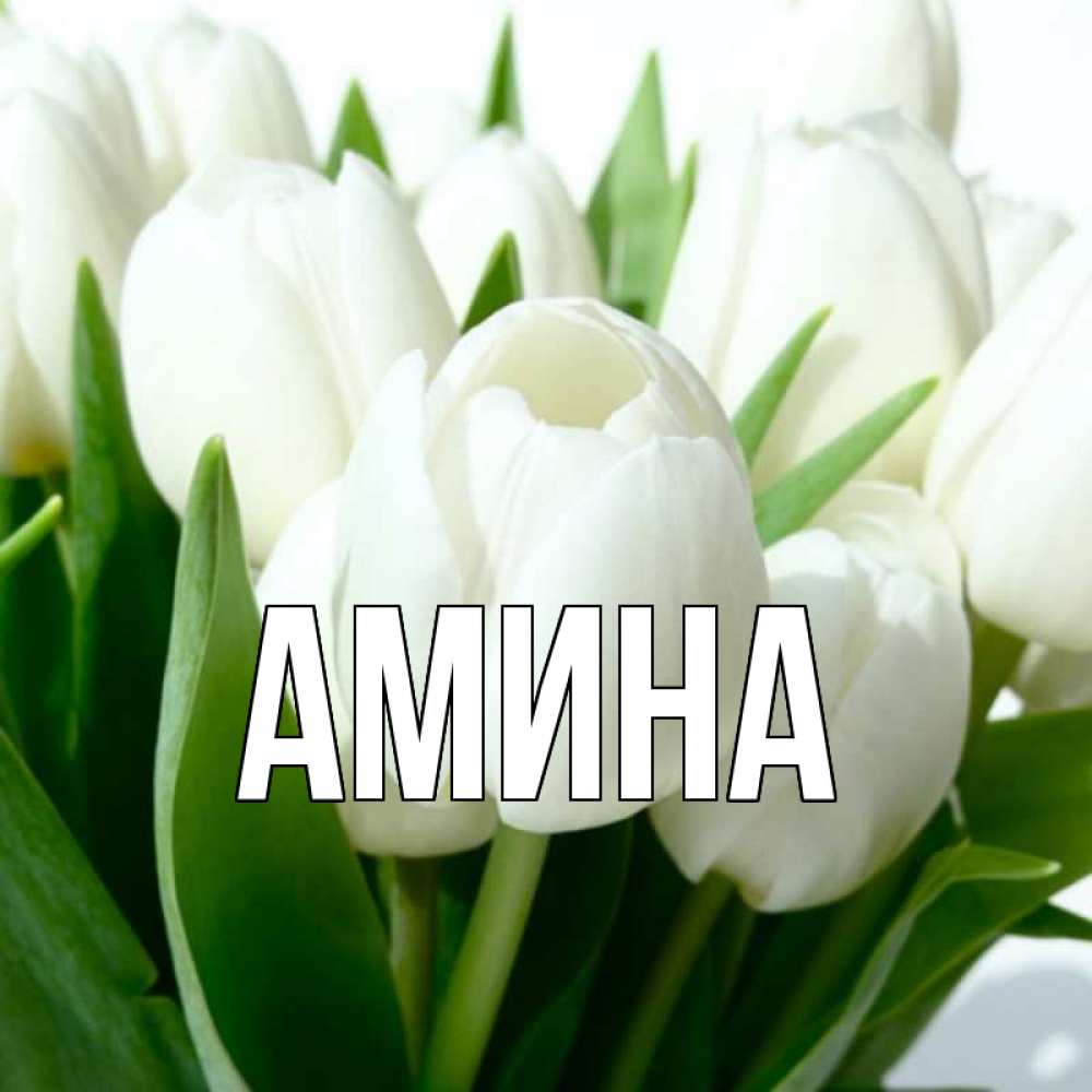 Открытка на каждый день с именем, Амина Главная открытки на каждый день по именам Прикольная открытка с пожеланием онлайн скачать бесплатно 