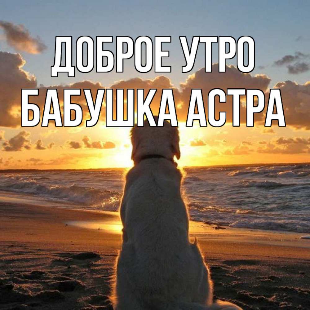 Открытка на каждый день с именем, Бабушка-Астра Доброе утро восход солнца Прикольная открытка с пожеланием онлайн скачать бесплатно 
