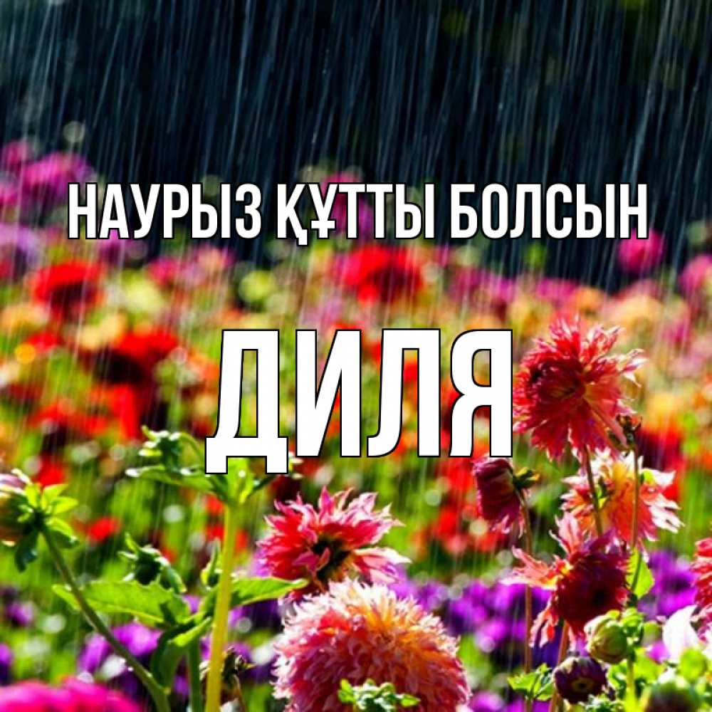 Открытка на каждый день с именем, Диля Наурыз құтты болсын цветы под дождиком к наурызу Прикольная открытка с пожеланием онлайн скачать бесплатно 
