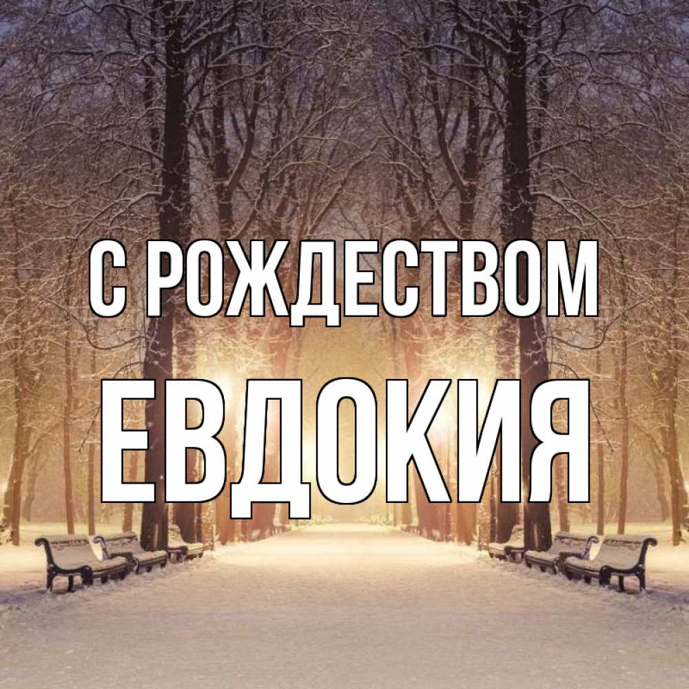 Открытка на каждый день с именем, Евдокия С рождеством зима, парк, фонарь, лес Прикольная открытка с пожеланием онлайн скачать бесплатно 