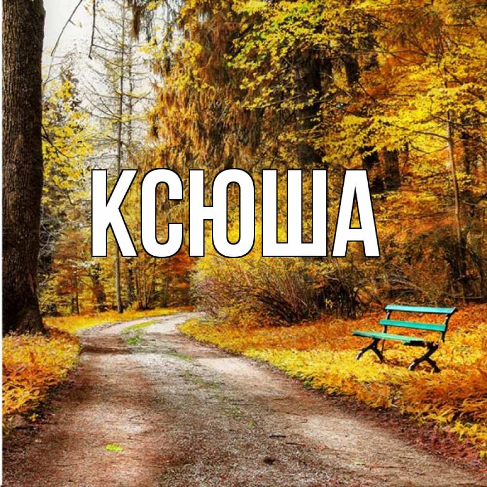 Открытка на каждый день с именем, Ксюша Главная зеленая лавочка и осенний лес Прикольная открытка с пожеланием онлайн скачать бесплатно 