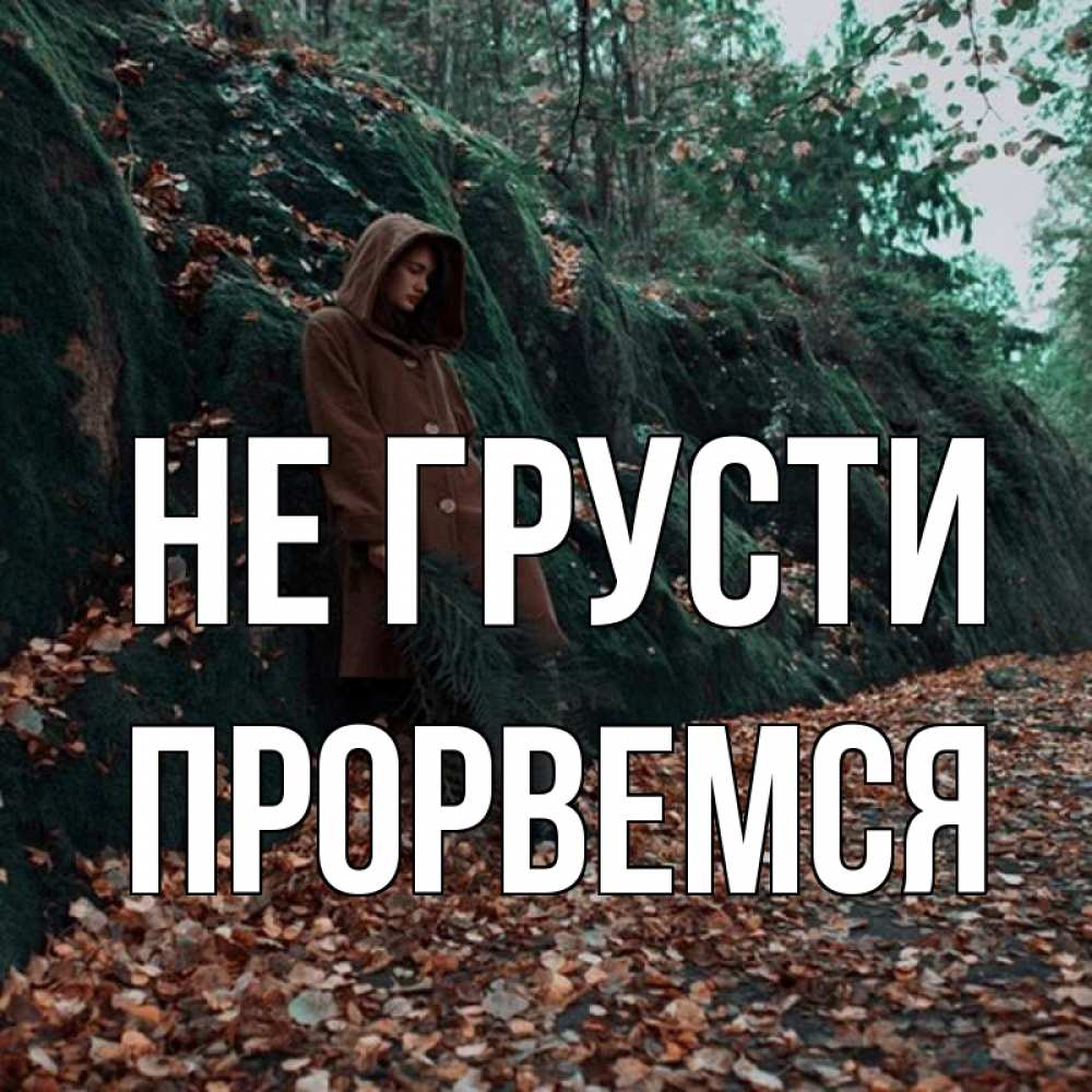 Открытка на каждый день с именем, Прорвемся Не грусти осенний лес Прикольная открытка с пожеланием онлайн скачать бесплатно 
