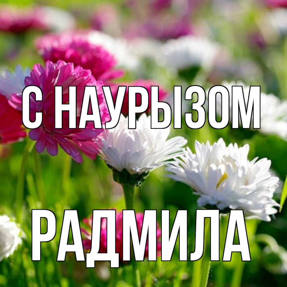 Открытка на каждый день с именем, Радмила С наурызом праздник весны наурыз красота Прикольная открытка с пожеланием онлайн скачать бесплатно 