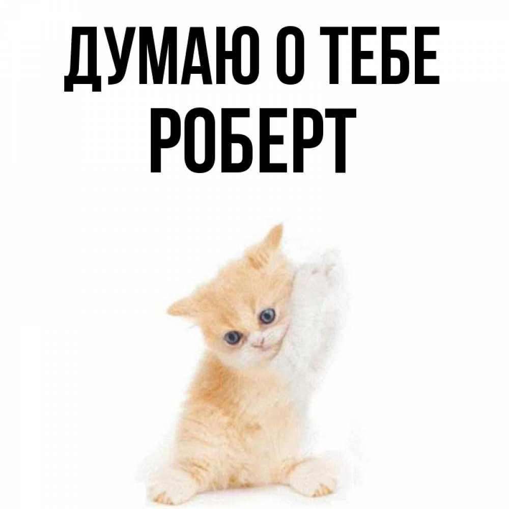 Открытка на каждый день с именем, Роберт Думаю о тебе зверушки и милота Прикольная открытка с пожеланием онлайн скачать бесплатно 