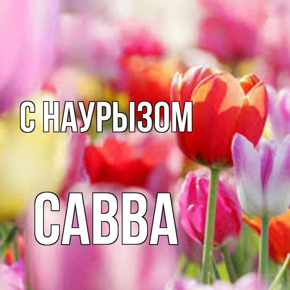 Открытка на каждый день с именем, Савва С наурызом праздник весны наурыз 67 Прикольная открытка с пожеланием онлайн скачать бесплатно 