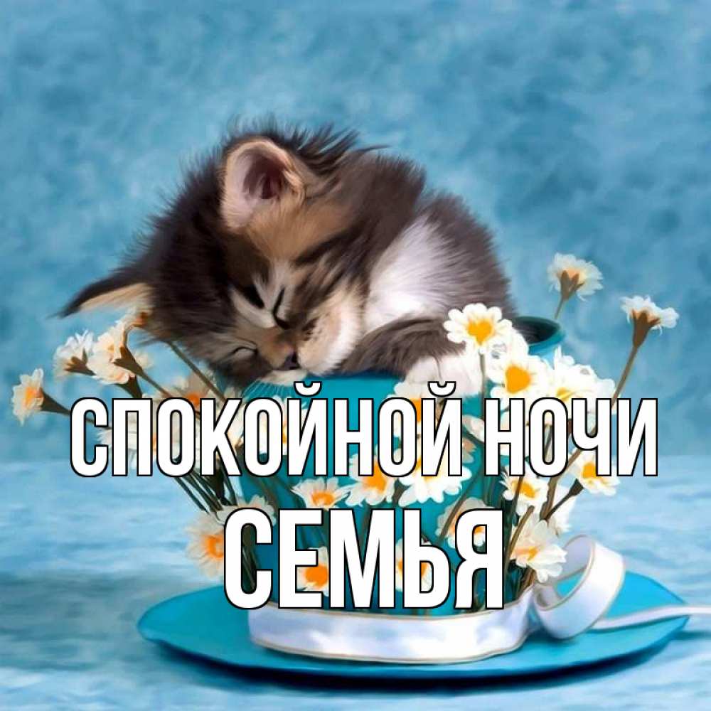 Открытка на каждый день с именем, Семья Спокойной ночи котенок спит в кружке с блюдцем Прикольная открытка с пожеланием онлайн скачать бесплатно 