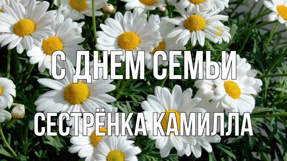 Открытка на каждый день с именем, Сестрёнка-Камилла С днем семьи с днем семьи Прикольная открытка с пожеланием онлайн скачать бесплатно 
