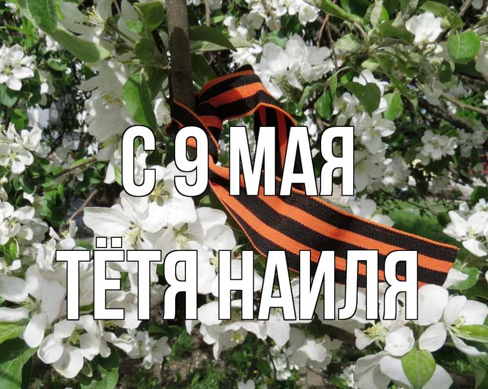 Открытка на каждый день с именем, Тётя-Наиля С 9 мая 9 мая Прикольная открытка с пожеланием онлайн скачать бесплатно 