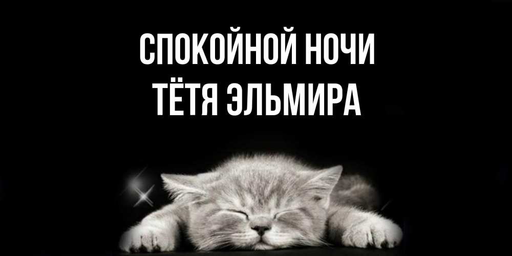 Открытка на каждый день с именем, Тётя-Эльмира Спокойной ночи спящий котик Прикольная открытка с пожеланием онлайн скачать бесплатно 