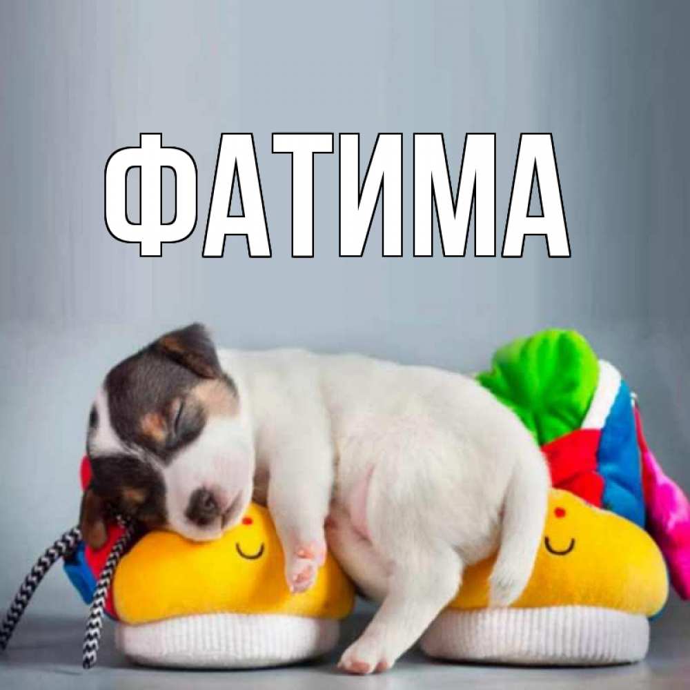 Открытка на каждый день с именем, Фатима Главная собачка Прикольная открытка с пожеланием онлайн скачать бесплатно 